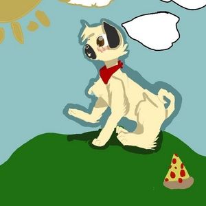 Meet your Posher, Midnightxx